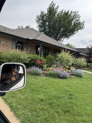 Storm Window Cleaning And Maintenance Services in Edmond OK